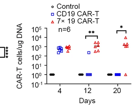 Open access visualization of Scatter Plot, CAR Transgene, Copy Numbers, Mice Blood, CAR T Cell Infusion