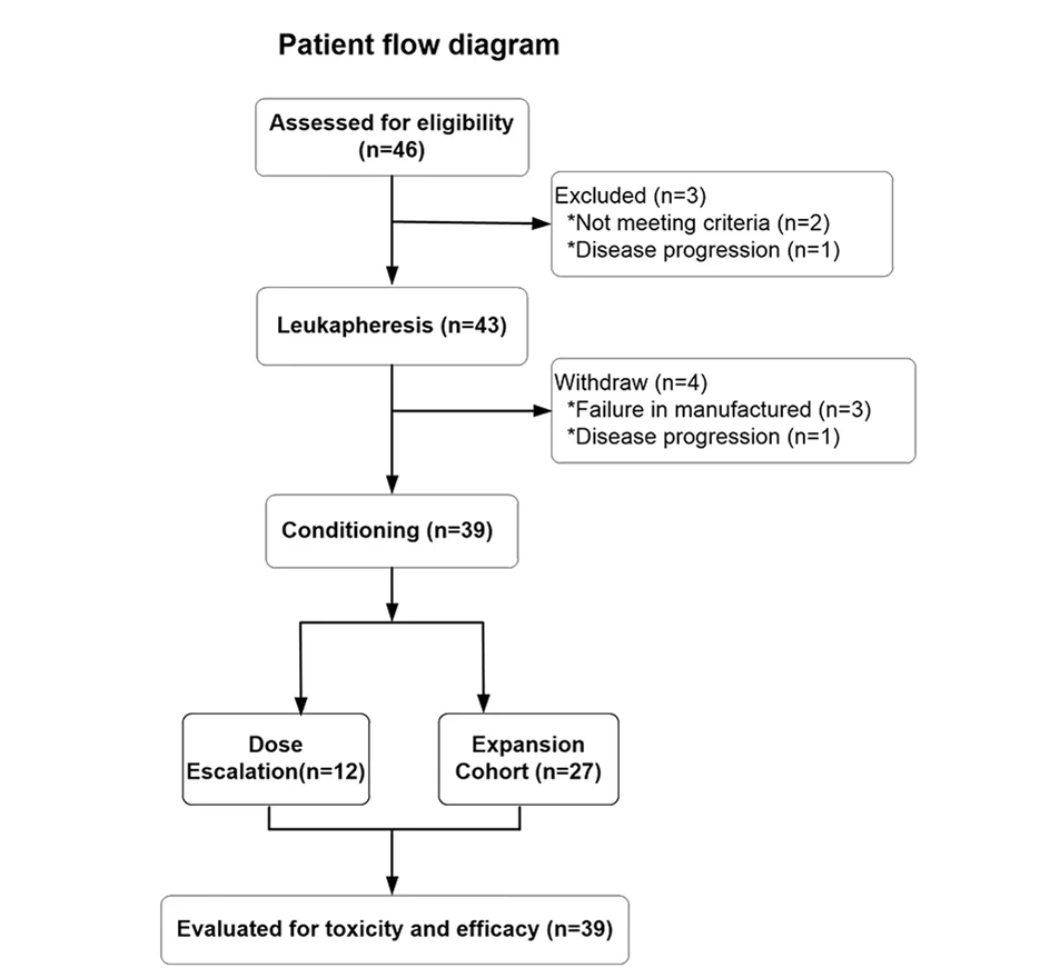 Open access visualization of Workflow, Flowchart, Flow Diagram, Clinical Trial, Patient Enrollment
