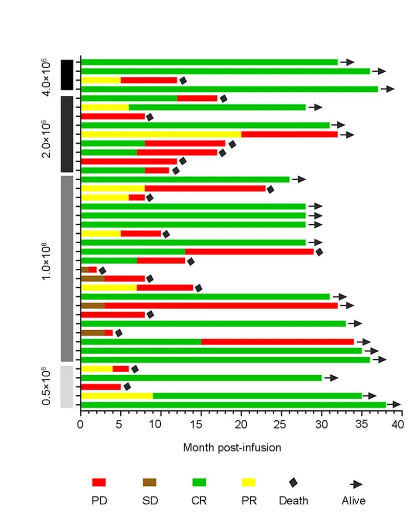 Open access visualization of Bar Plot, Stacked Bar Plot, Swimmer Plot, Response Duration, CAR T Cell Therapy