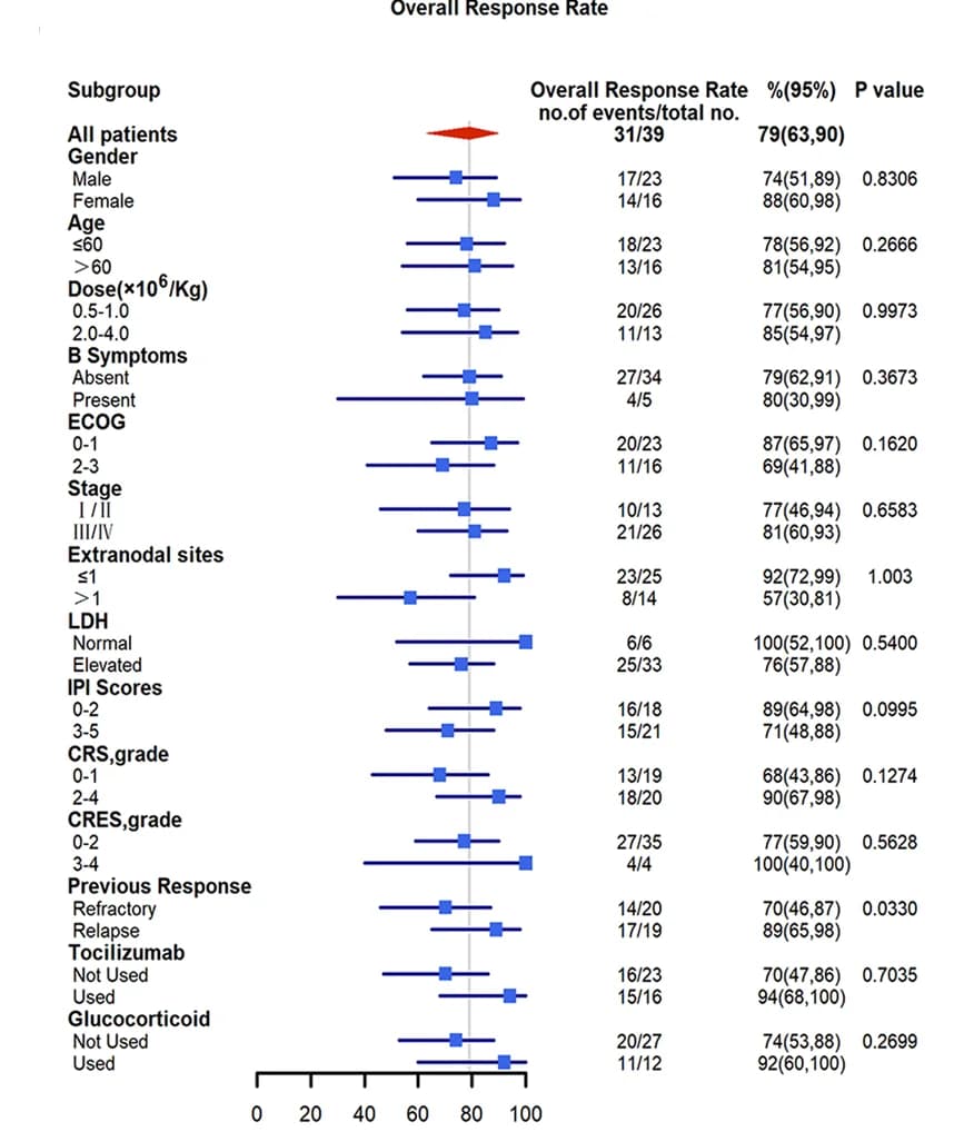 Open access visualization of Error Bars, Subgroup Analysis, Overall Response Rate, PET-CT, CAR T Cell Therapy