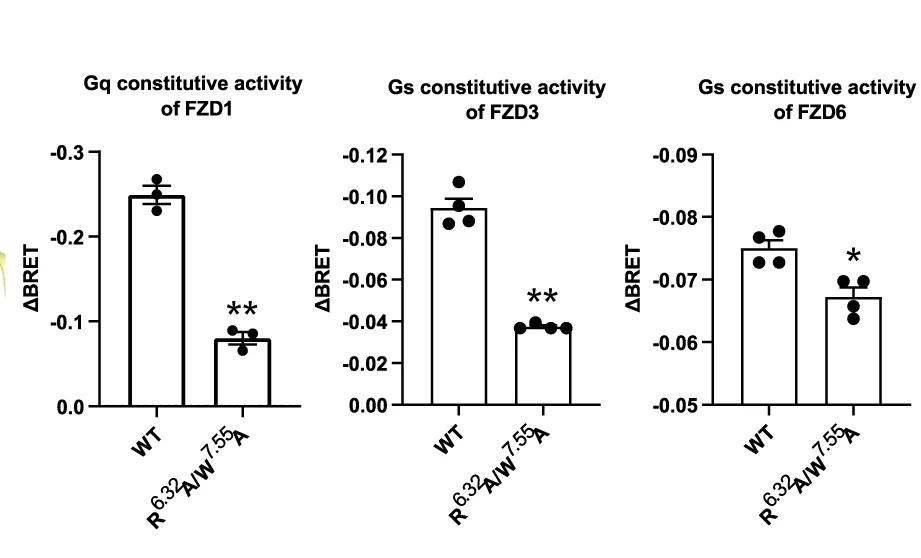 Open access visualization of Bar Plot, Error Bars, Mutations, FZD1, FZD3