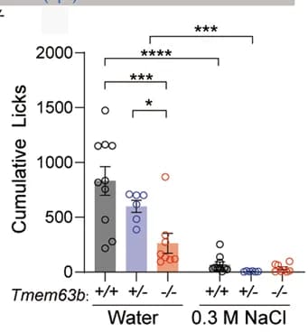 Open access visualization of Bar Plot, Error Bars, Scatter Plot, Quantification, Licking