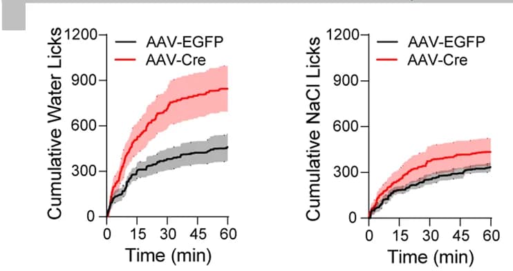 Open access visualization of Line Plot, Error Bars, Time Course, Water Licking, 0.3 M NaCl Licking