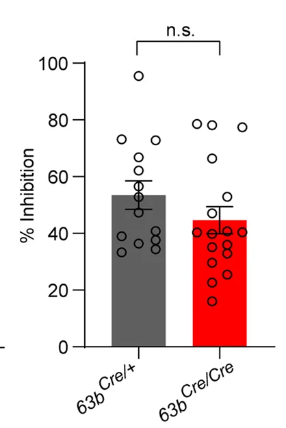 Open access visualization of Bar Plot, Error Bars, Scatter Plot, Inhibition Ratio, Firing Rate