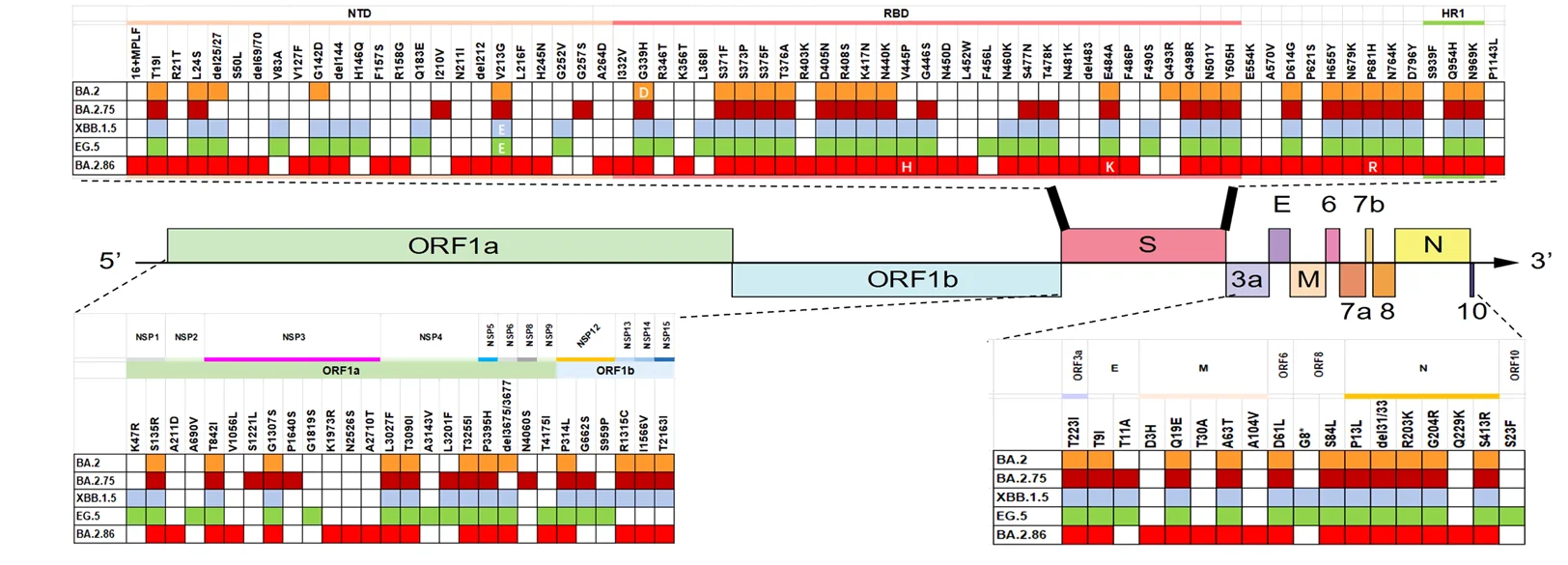 Open access visualization of Workflow, Table Image, S Protein, Mutational Profile, Omicron