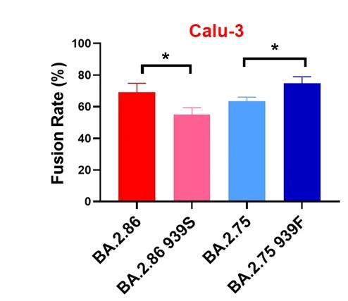 Open access visualization of Bar Plot, Error Bars, Fusion Capacity, S939F Mutation, HR1 Region