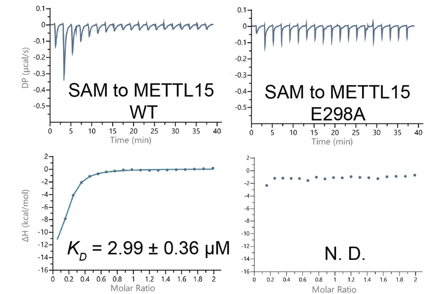 Open access visualization of Line Plot, Scatter Plot, ITC, METTL15, SAM