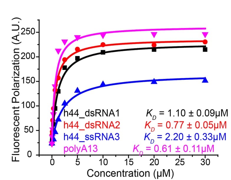 Open access visualization of Line Plot, RNA, METTL15, Binding Affinity, FP Experiments