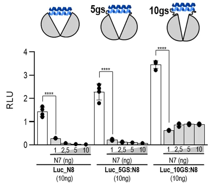 Open access visualization of Bar Plot, Error Bars, Peptide N8, Firefly Luciferase, Linker Peptides