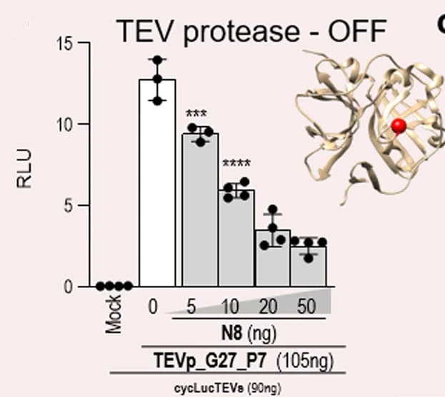 Open access visualization of Bar Plot, Error Bars, 3D Plot, INSRTR Regulation, Proteins