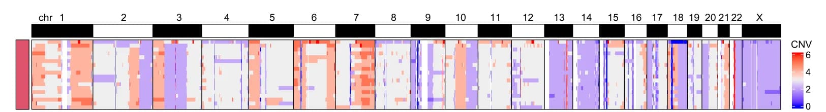 Open access visualization of Heatmap, CNVs, K562 Cells, Refresh-seq