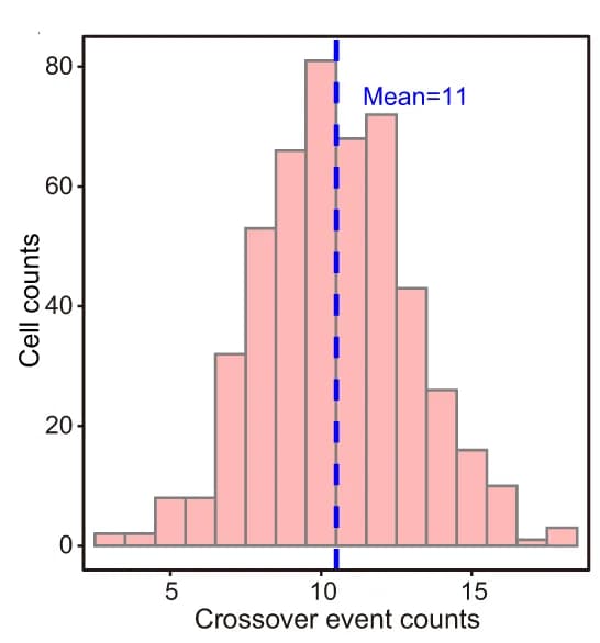 Open access visualization of Histogram, Line Plot, Autosomal Crossover Events, Sperm, Crossovers