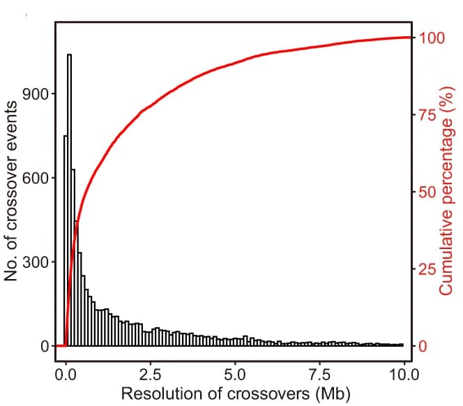 Open access visualization of Histogram, Line Plot, Crossover Determination, Sequencing Depth, Crossover Numbers