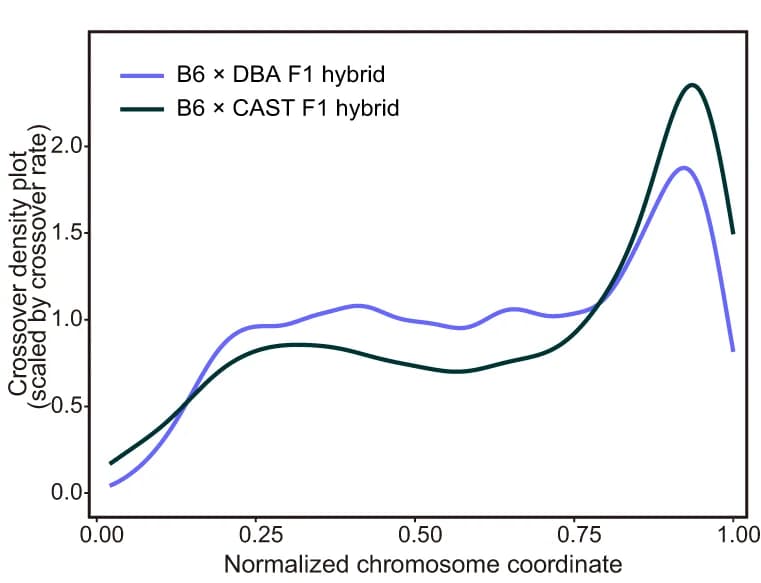 Open access visualization of Line Plot, Density Plot, Crossover Location, Chromosomes, Crossover Density