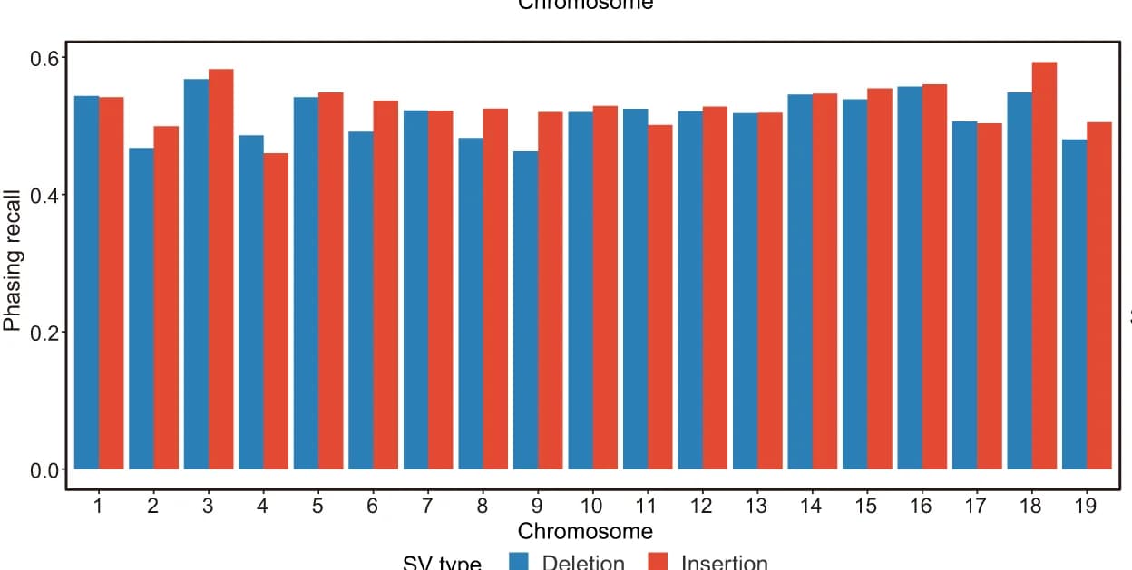 Open access visualization of Clustered, Phased SVs, Bulk Benchmark, Chromosome Scale, Deletions