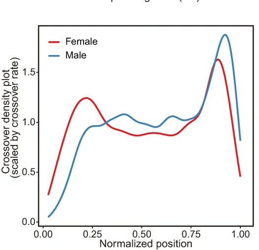 Open access visualization of Line Plot, Density Plot, Crossover Location Density Plots, Chromosomes, Female Mice