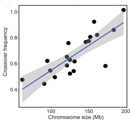 Open access visualization of Scatter Plot, Regression Plot, Crossover Frequency, Chromosome Size, Linear Regression