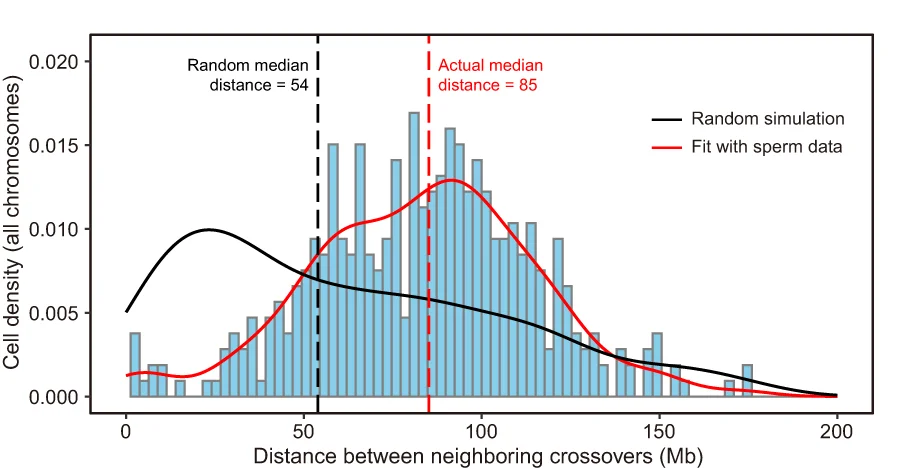 Open access visualization of Histogram, Line Plot, Density Plot, Inter-Crossover Distances, DNA Length
