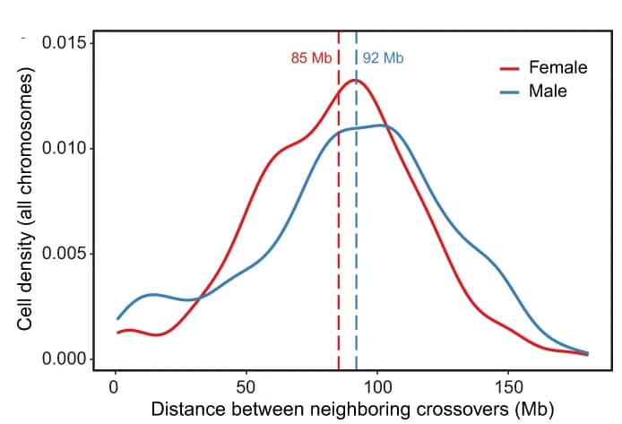 Open access visualization of Line Plot, Density Plot, Inter-Crossover Distances, DNA Length, Chromosomes