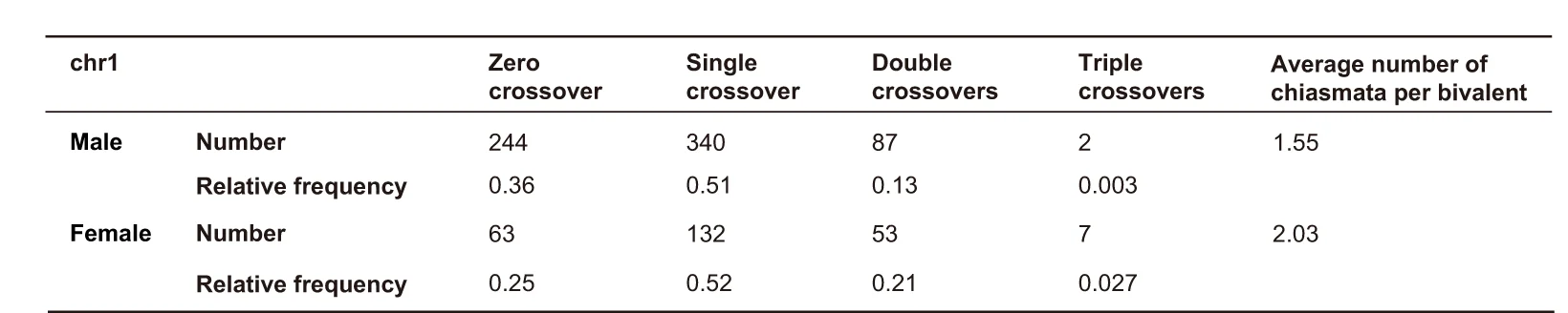 Open access visualization of Table Image, Crossover Classes, Chromosome 1, Male Haploid Germ Cells, Female Haploid Germ Cells