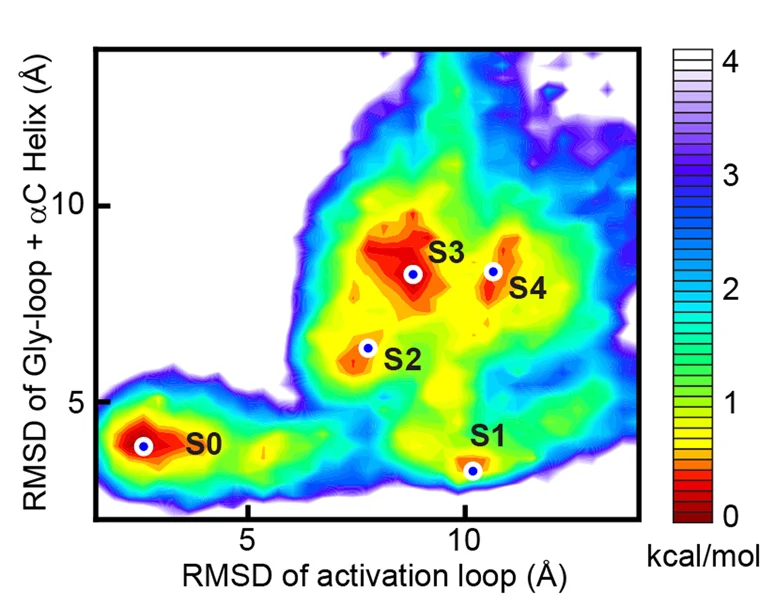 Open access visualization of Heatmap, GaMD Simulations, Free Energy Profile, RMSD Coordinates