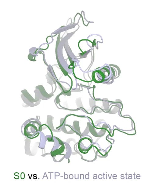 Open access visualization of Protein Structure, S0 State, ATP-Bound Active State, Comparison