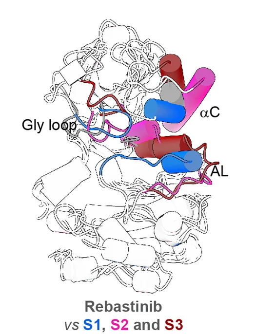 Open access visualization of Protein Structure, LRRK2-Rebastinib, S1 State, S2 State, S3 State