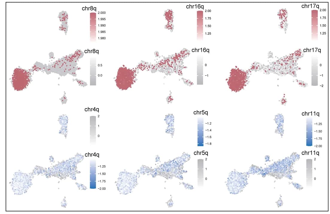 Open access visualization of Scatter Plot, UMAP, UMAP Plot, Chromosome Gain, Chromosome Loss