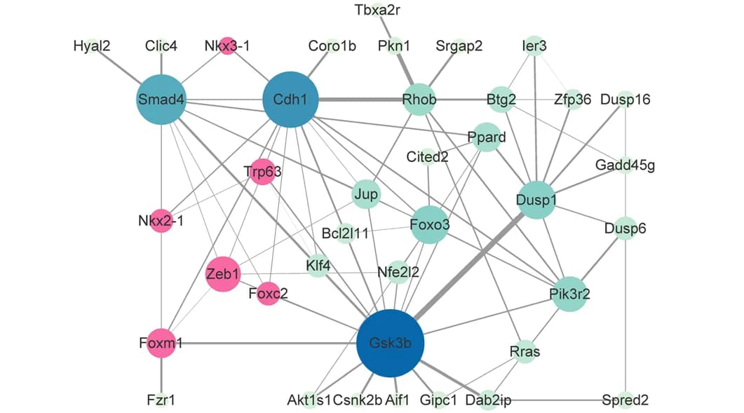 Open access visualization of Network, Pathway, Transcription Factors, Target Genes, Correlations