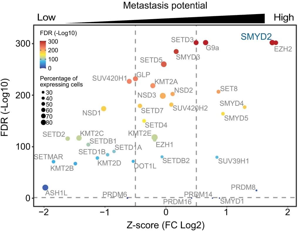 Open access visualization of Scatter Plot, Bubble Plot, Lysine Methyltransferases, Breast Cancer, Metastasis