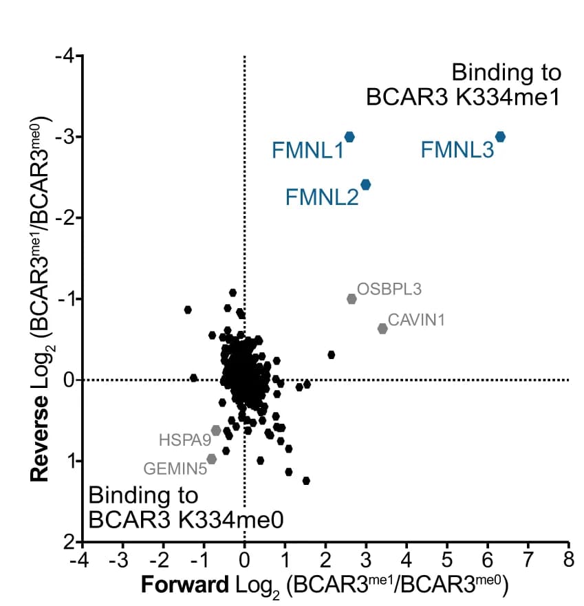 Open access visualization of Scatter Plot, SILAC, Proteomics, Methylation, BCAR3