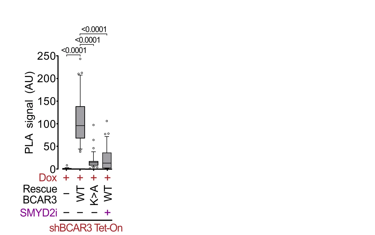 Open access visualization of Box Plot, PLA, BCAR3, FMNL3, Protein Interaction