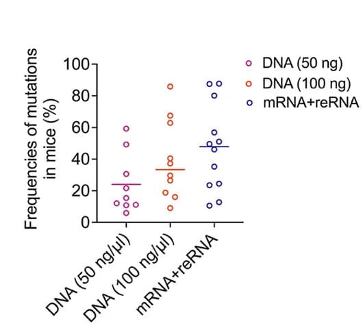 Open access visualization of Scatter Plot, Indel Frequencies, PCR Amplicons, Deep Sequencing, Mice