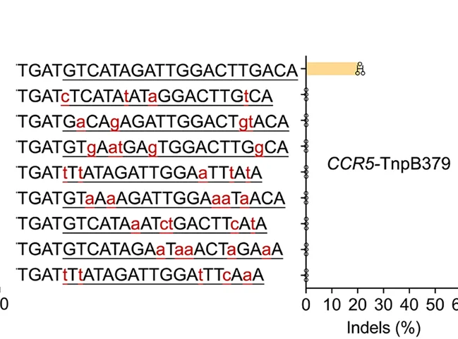 Open access visualization of Bar Plot, Error Bars, Off-Target Effects, TnpB, TnpB379