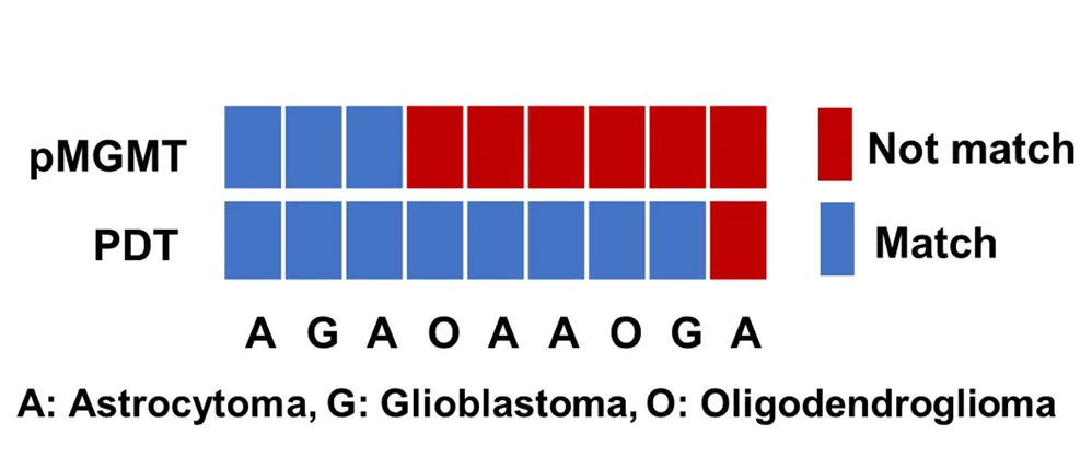 Open access visualization of Bar Plot, Clinical Status, TMZ Sensitivity, pMGMT Methylation, PDTs