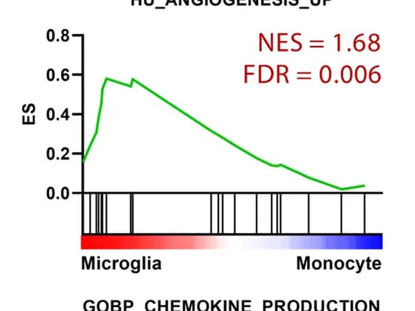Open access visualization of Line Plot, GSEA, Angiogenesis, G-Mg