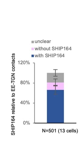 Open access visualization of Stacked Bar Plot, Error Bars, Endogenous SHIP164, TGN-EE Junctions, Cellular Distribution