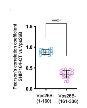 Open access visualization of Scatter Plot, Error Bars, Co-IP Assays, Vps26B, Vps35