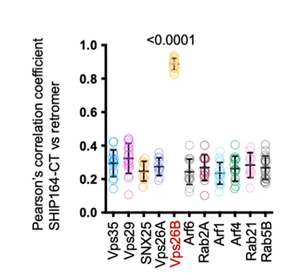 Open access visualization of Scatter Plot, Error Bars, Pearson’s Correlation Coefficient, GFP-SHIP164-CT, Halo-Arf6