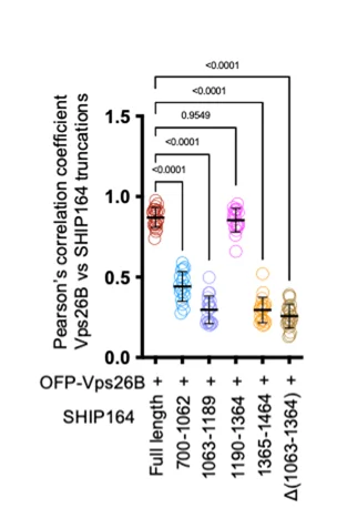 Open access visualization of Scatter Plot, Error Bars, Pearson’s Correlation Coefficient, Vps26B, GFP-SHIP164