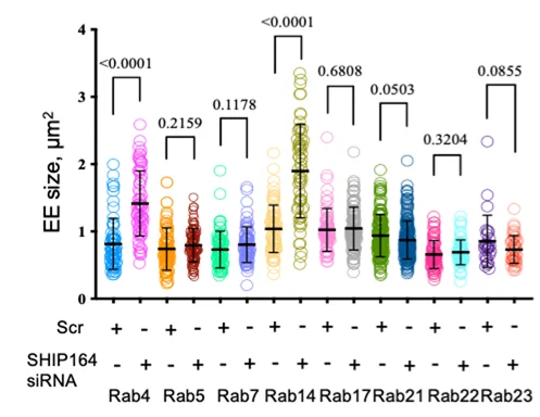 Open access visualization of Scatter Plot, Error Bars, EEs, HEK293 Cells, siRNA