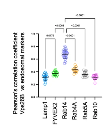 Open access visualization of Scatter Plot, Error Bars, Pearson’s Correlation Coefficient, Vps26B, Endosomal Markers