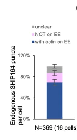 Open access visualization of Stacked Bar Plot, Error Bars, SHIP164, Puncta Distribution, Quantification