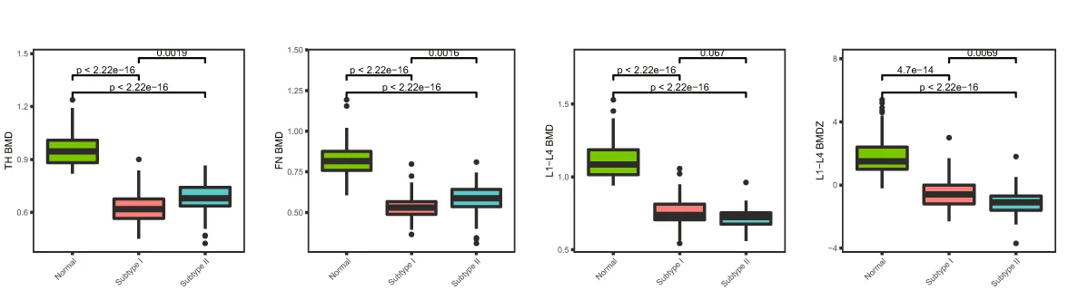 Open access visualization of Box Plot, Osteoporosis, Subtype I, Subtype II, BMD
