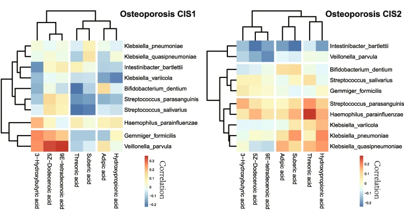 Open access visualization of Heatmap, Clustered, Microbiota, Metabolite, Osteoporosis