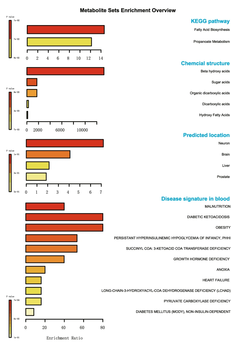 Open access visualization of Bar Plot, Metabolite, Functional Enrichment