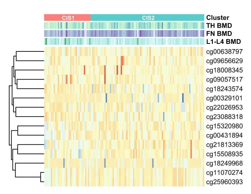 Open access visualization of Heatmap, Clustered, CpGs, Methylation Signatures