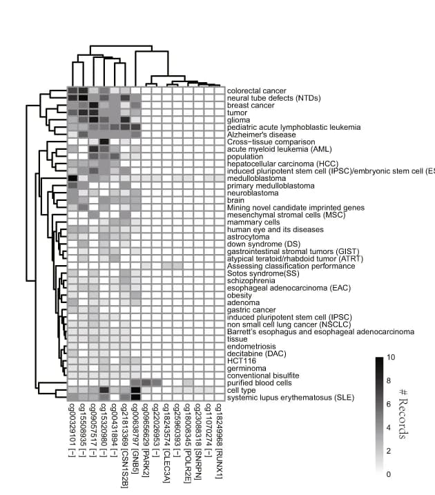Open access visualization of Heatmap, Clustered, Public Reported Phenotypes, Methylation Signatures