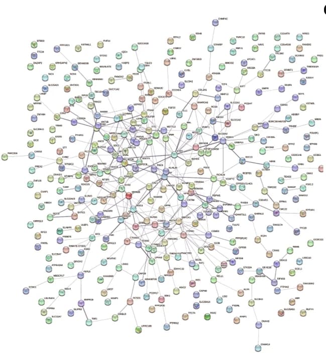 Open access visualization of Network, Pathway, Protein Association Network, snpGenes