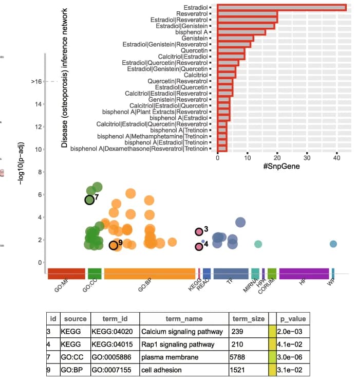 Open access visualization of Bar Plot, Scatter Plot, Functional Enrichment, snpGenes